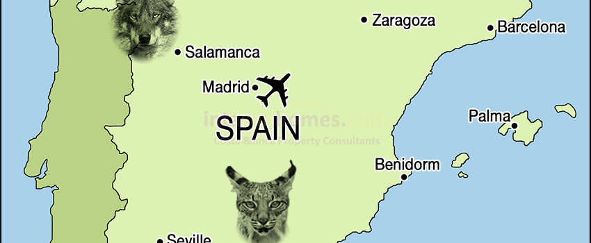 WILDLIFE TOURS CENTRED ON DIFFERENT PARTS OF THE SPANISH MAINLAND