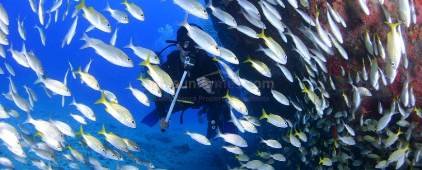 Murcia A Paradise for Divers