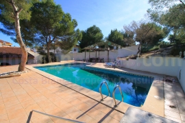 Resale - Detached House / Villa - Mil Palmeras - Mil Palmeras - Town