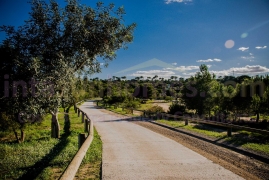 Obra Nueva - Detached House / Villa - Rojales - Ciudad Quesada