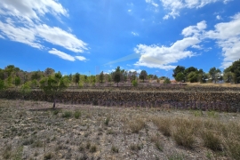 A Vendre - Detached House / Villa - La Nucía - La nucia