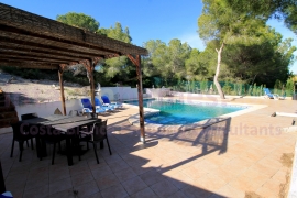 Resale - Detached House / Villa - Mil Palmeras - Mil Palmeras - Town