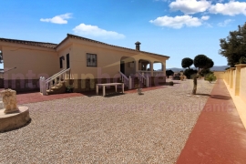 Reventa - Country Property/Finca - Catral