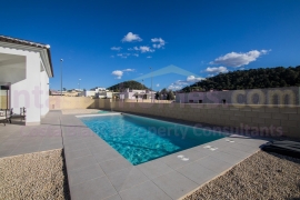 Nouvelle Construction - Detached House / Villa - PINOSO - Campo