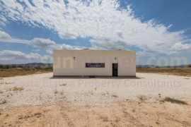 Nouvelle Construction - Detached House / Villa - PINOSO - Campo