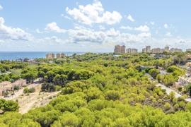 A Vendre - Appartement - Orihuela Costa - Campoamor