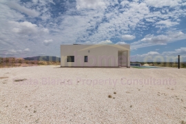 New build - Detached House / Villa - PINOSO - Campo