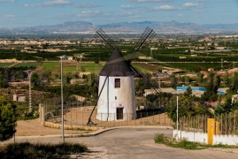 Obra Nueva - Detached House / Villa - Rojales - Ciudad Quesada