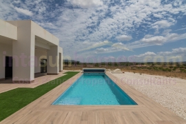 Obra Nueva - Detached House / Villa - PINOSO - Campo