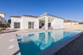 New build - Detached House / Villa - PINOSO - Campo