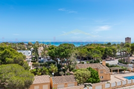 Reventa - Apartamento - Orihuela Costa - Campoamor