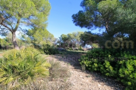 Resale - Detached House / Villa - Mil Palmeras - Mil Palmeras - Town