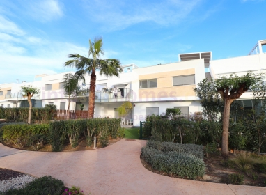 Apartment - Resale - Los Montesinos - Entre Naranjos / Vistabella Golf