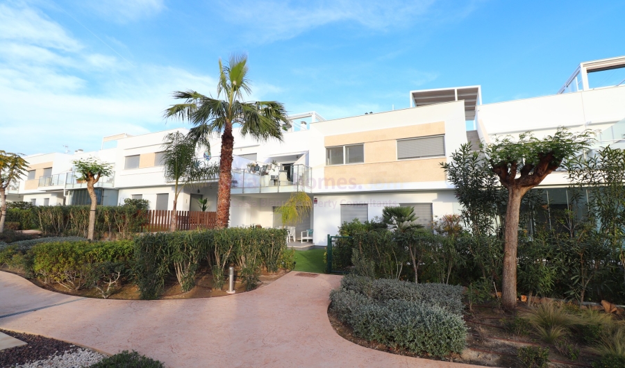 Resale - Apartment - Los Montesinos - Entre Naranjos / Vistabella Golf