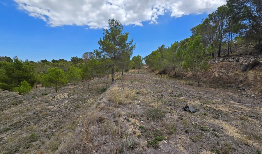 A Vendre - Detached House / Villa - La Nucía - La nucia