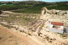 Doorverkoop - Plot - Torremendo - Torremendo - Country