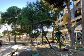 Nieuwbouw - Bungalow - San Javier - Roda Golf