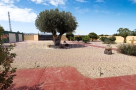 Reventa - Country Property/Finca - Catral