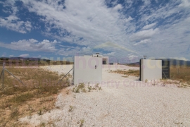 Nouvelle Construction - Detached House / Villa - PINOSO - Campo