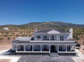 Villa - Nieuwbouw - PINOSO - Camino Del Prado