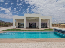 Detached House / Villa - Nouvelle Construction - PINOSO - Campo