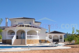 New build - Detached House / Villa - PINOSO - Campo