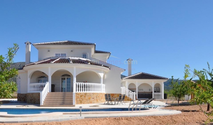 Nouvelle Construction - Detached House / Villa - PINOSO - Campo