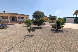 Reventa - Country Property/Finca - Catral