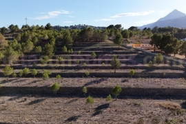 A Vendre - Detached House / Villa - La Nucía - La nucia