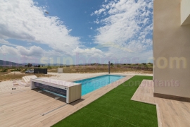 Nouvelle Construction - Detached House / Villa - PINOSO - Campo