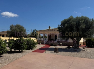 Country Property/Finca - Resale - Catral - Catral