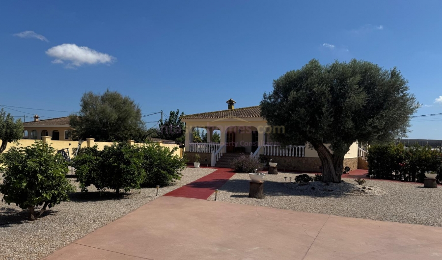 Reventa - Country Property/Finca - Catral