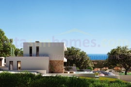 Obra Nueva - Detached House / Villa - Pilar de La Horadada - Pinar de Campoverde