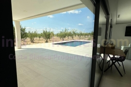 Nouvelle Construction - Detached House / Villa - PINOSO - Campo