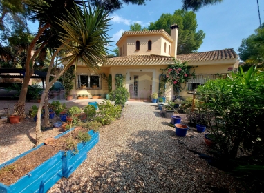 Detached House / Villa - Resale - Algorfa - Montemar