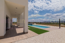 New build - Detached House / Villa - PINOSO - Campo