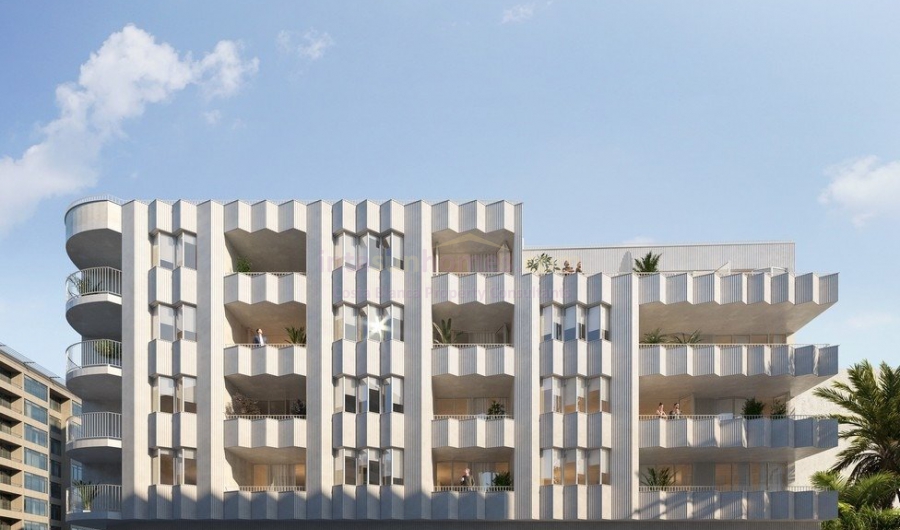 New build - Apartment - Torrevieja - Playa de los locos
