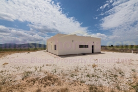 New build - Detached House / Villa - PINOSO - Campo