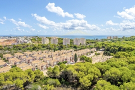 A Vendre - Appartement - Orihuela Costa - Campoamor