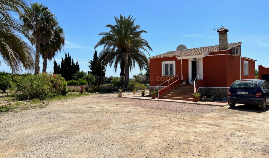 Resale - Country Property/Finca - San Miguel de Salinas