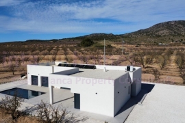 New build - Detached House / Villa - PINOSO - Campo