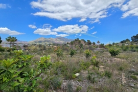 A Vendre - Detached House / Villa - La Nucía - La nucia