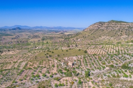 Resale - Country Property/Finca - Ricote Valley - Ricote
