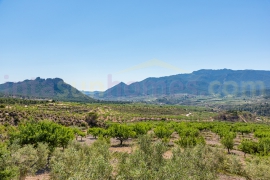 A Vendre - Country Property/Finca - Ricote Valley - Ricote