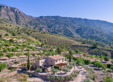 Country Property - Resale - Ricote Valley - Ricote