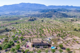 A Vendre - Country Property/Finca - Ricote Valley - Ricote